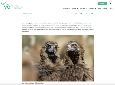 Vulture Conservation Found 29.12.23