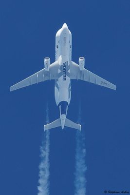 Airbus Beluga XL