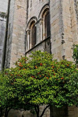 Lisbon Cathedral