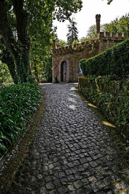 _R7A5997_f_8x12_100.jpg