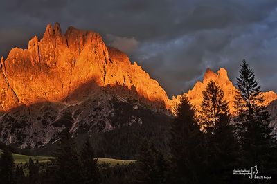 Pale san Martino