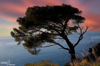 camogli18.jpg