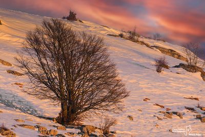 Landscapes
