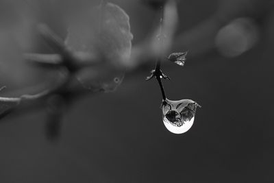 Droplet