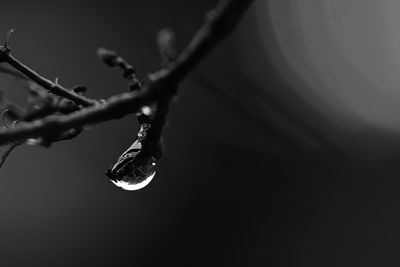 Droplet