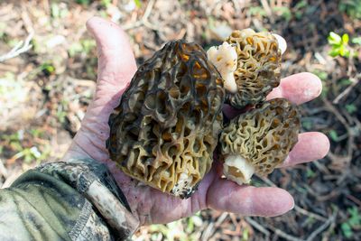 _MG_0044.jpg