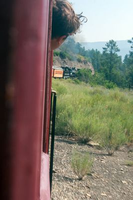 _MG_0233.jpg