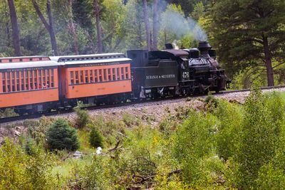 _MG_0521.jpg