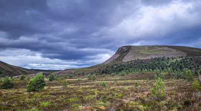 Strathspey and Badenoch Gallery 120 Images