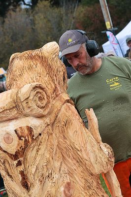 Pete Bowsher Off to the woods to do what Bears do 2025 08.jpg