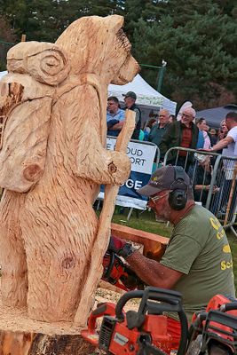 Pete Bowsher Off to the woods to do what Bears do 2025 07.jpg
