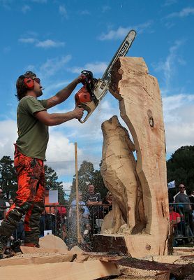 Michael Jones Urban Wolf 2025 17.jpg