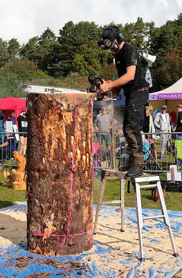 Carve 2025 033 copy.jpg