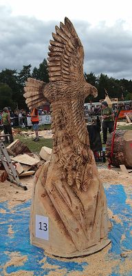 Kaspian Ashkam Soaring Eagle 2025 10.jpg