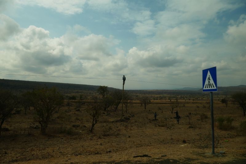 Africa 2025    29.JPG