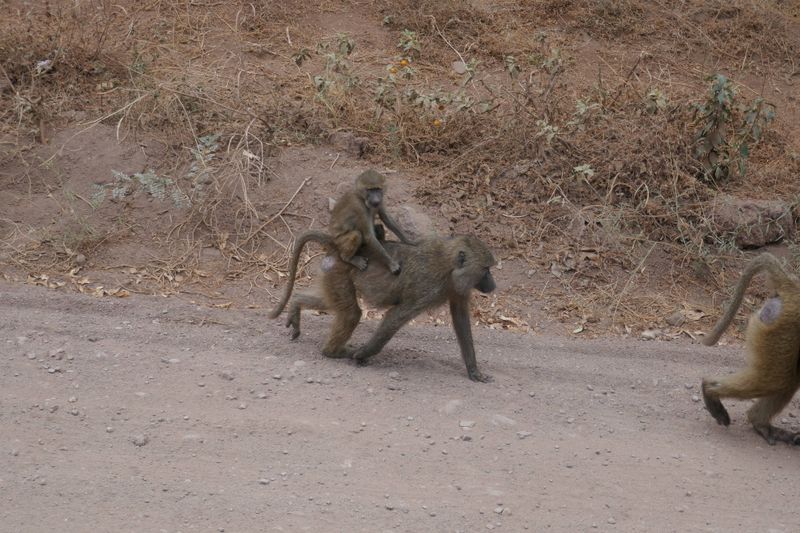 Africa 2025    42.JPG