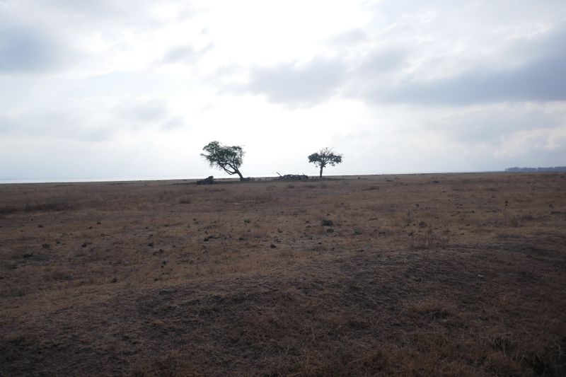 Africa 2025    58.JPG