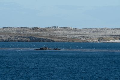 Day 7 (2024.11.23) - Port Stanley