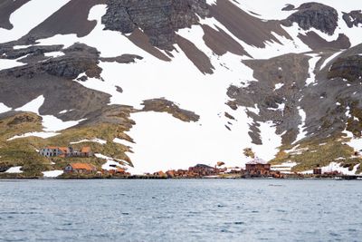 Abandoned Whaling Station