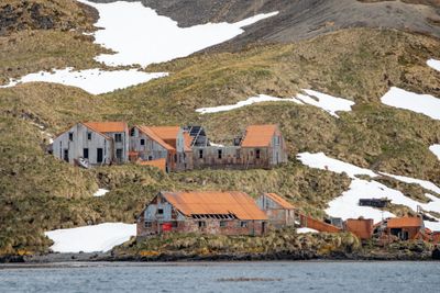Abandoned Whaling Station