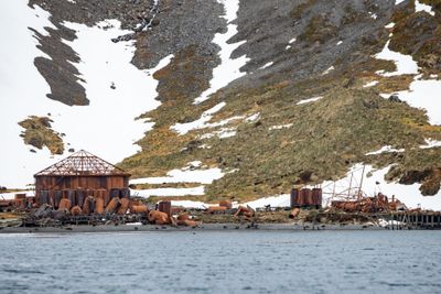 Abandoned Whaling Station