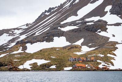 Abandoned Whaling Station