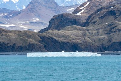 Iceberg Ship