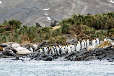 Lining Up to Jump In
