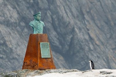 Day 14 (2024.11.30) - Elephant Island