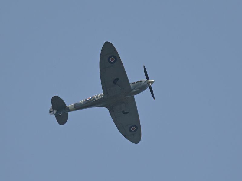 Spitfire