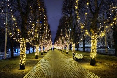 31.12.2024