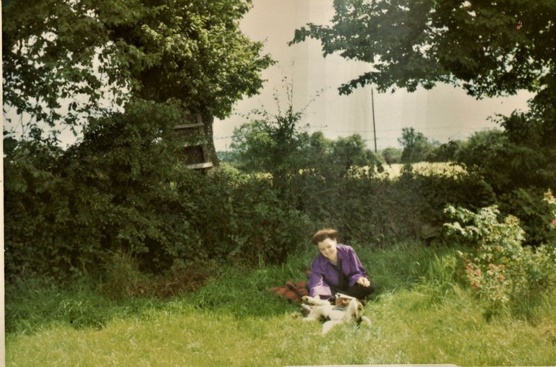 County Wicklow 1970....JPG