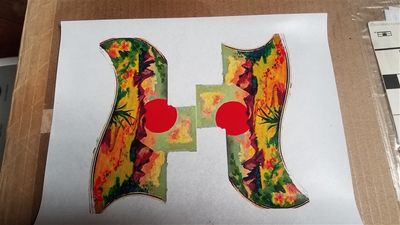 20240916_170055.jpg