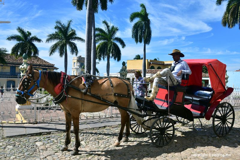 Very stylish horse drawn carriage and its owner