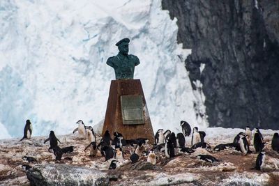 The only manmade object on the Elephant Island: Monument for the Rescue mission
