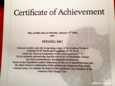Polar Plunge Certificate