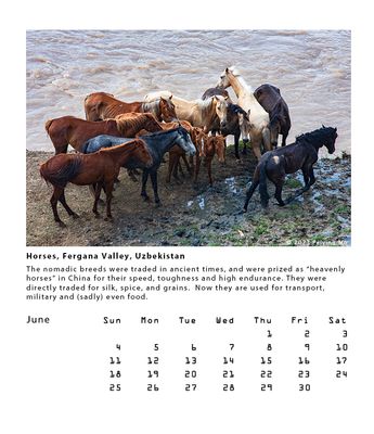 Horses, Fergana Valley, Uzbekistan