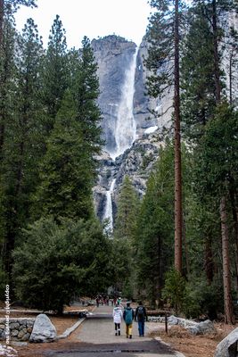 The famous Yosemite Falls (upper, middle, and lower)