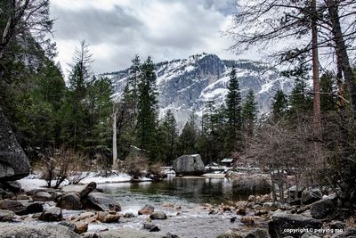 Tenaya Creek at Mirror Lake