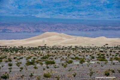 Mesquite Flat Sand Dunes