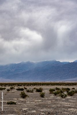 Stovepipe Wells Village and Beyond