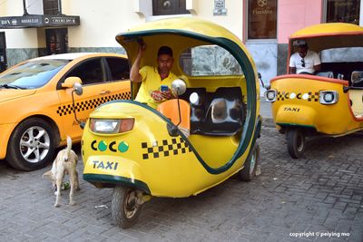 Coco taxi drivers