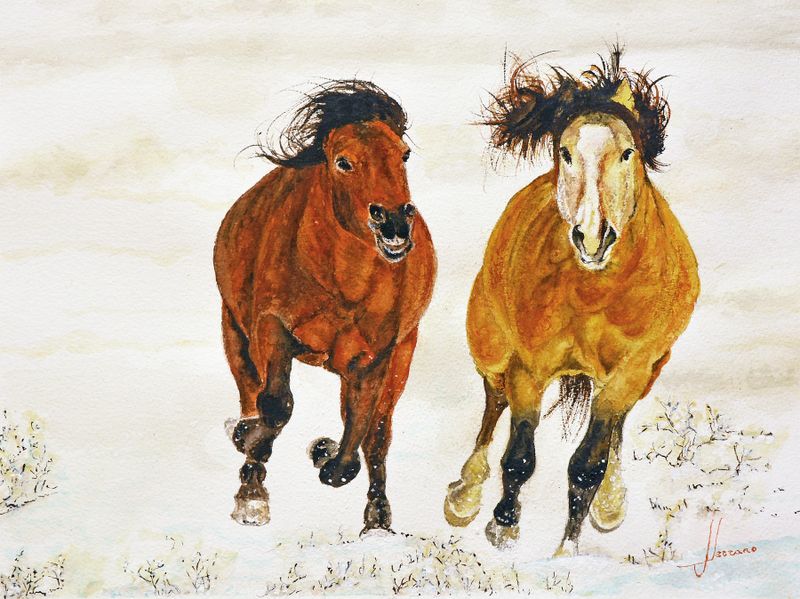 Watercolor (41X31cm).
