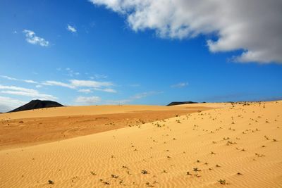 Dunes of Corralejo
