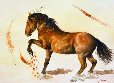 Watercolor (41X31cm).