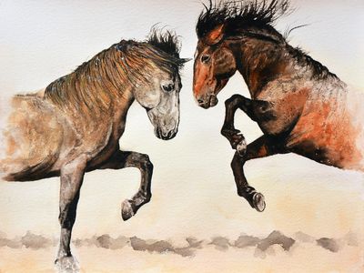 Watercolor (41X31cm).