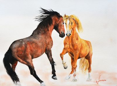 Watercolor (41X31cm).