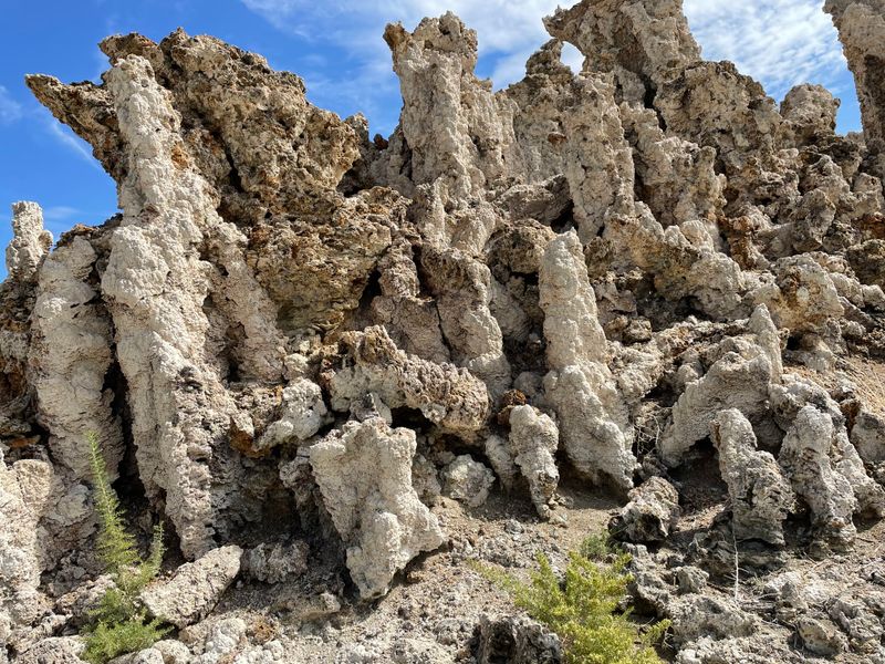 Tufa formations