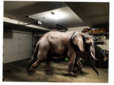 elephant in the garage