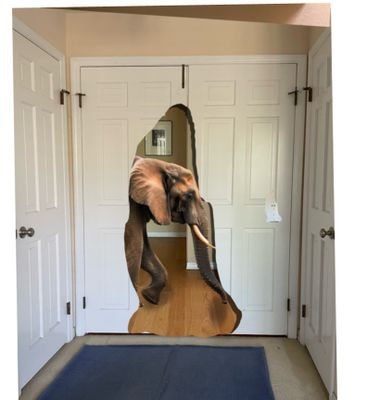 elephant entrance